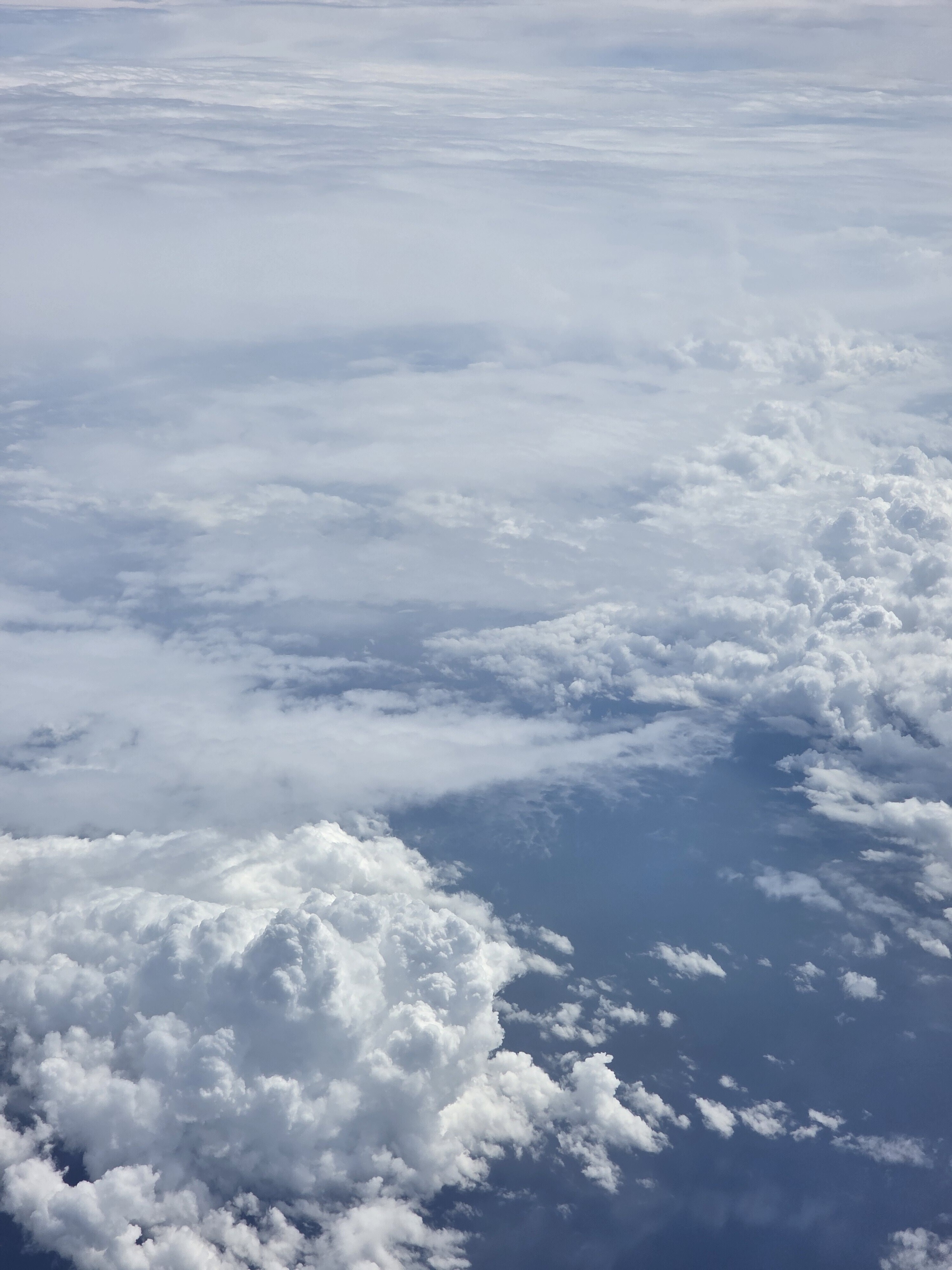 放生（有珠連接）（請對住你嘅中文姓名和農曆出生年月日）