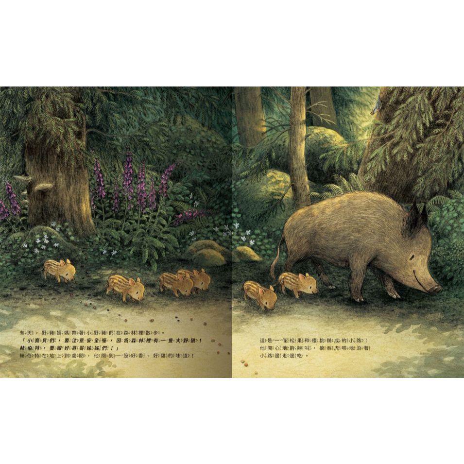 【樂森藥局】禾流文化 小野豬迷路了