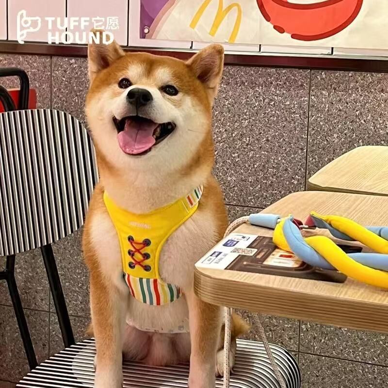 TUFFHOUND 它愿 TF057 猫狗小型犬胸背 牵引绳