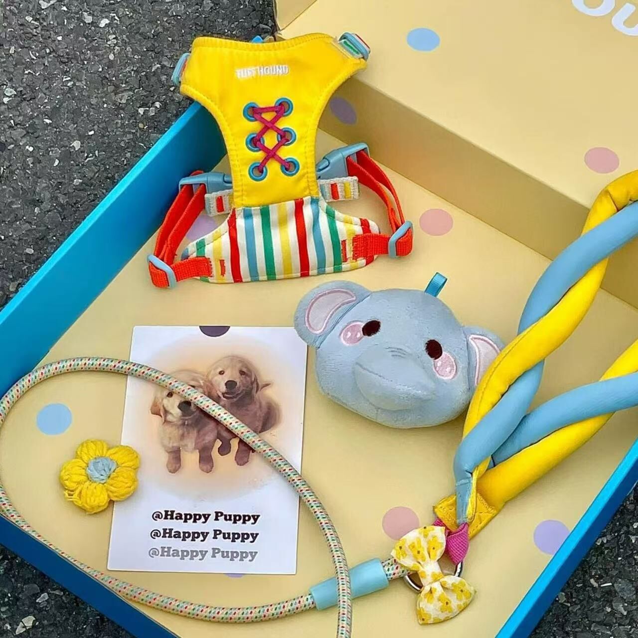 TUFFHOUND 它愿 TF057 猫狗小型犬胸背 牵引绳