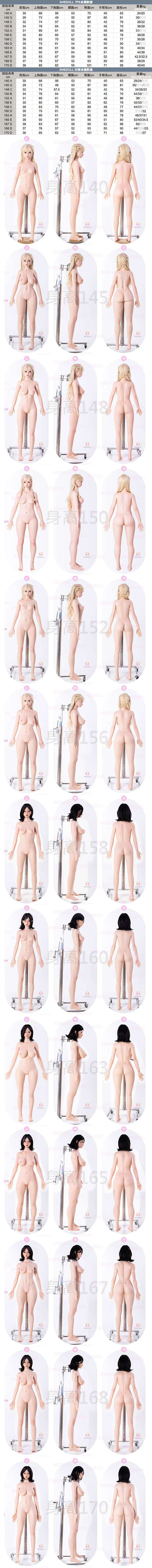 SHEDOLL 擬真矽膠娃娃 規格數據及客製選項 shedoll sex doll customize option