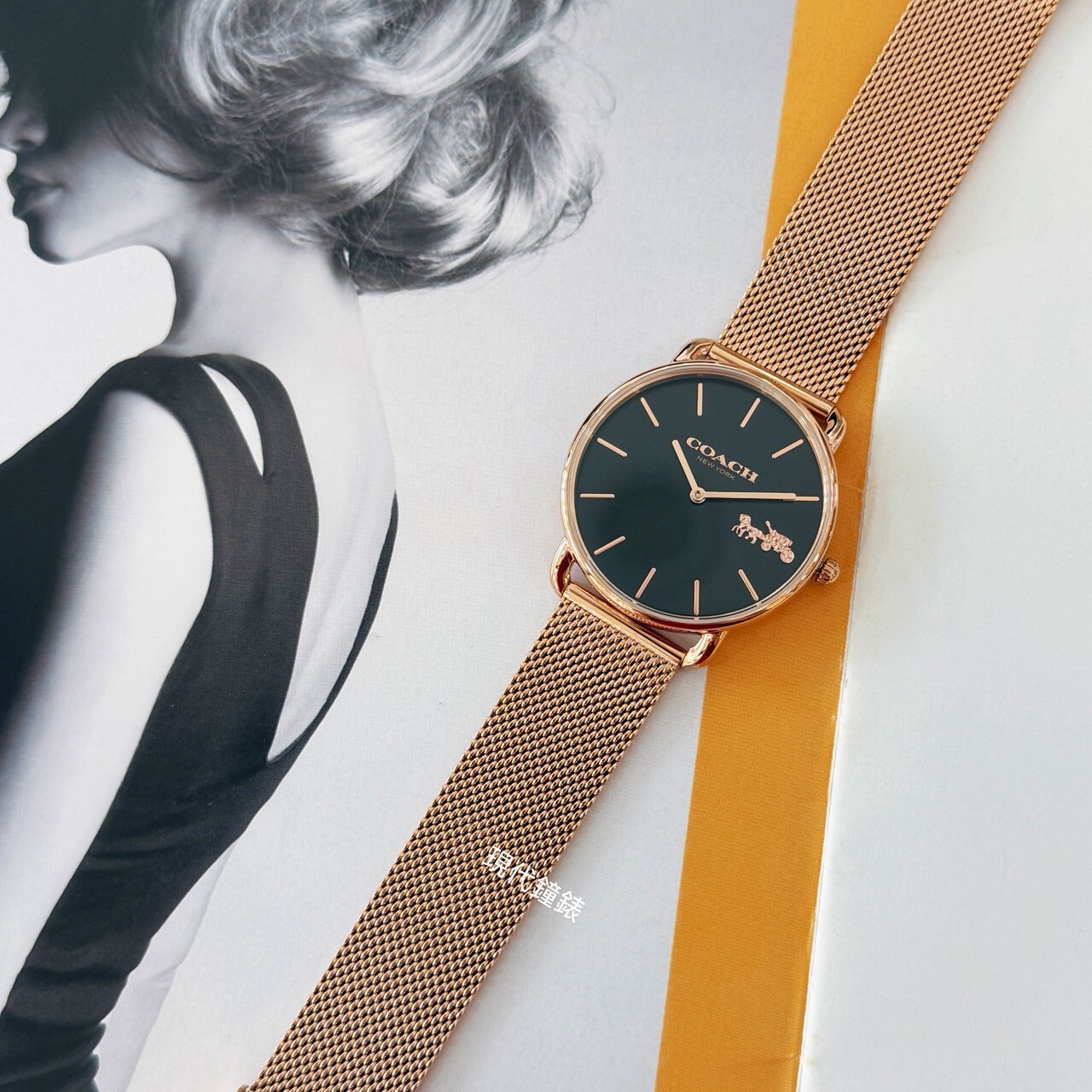 【COACH】Elliot 經典馬車米蘭帶女錶CO14504384 36mm 現代鐘錶