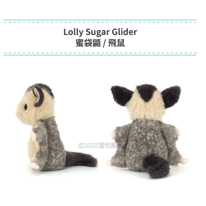 【樂森藥局】英國 Jellycatt 蜜袋鼯/飛鼠 14cm Lolly Sugar Glider