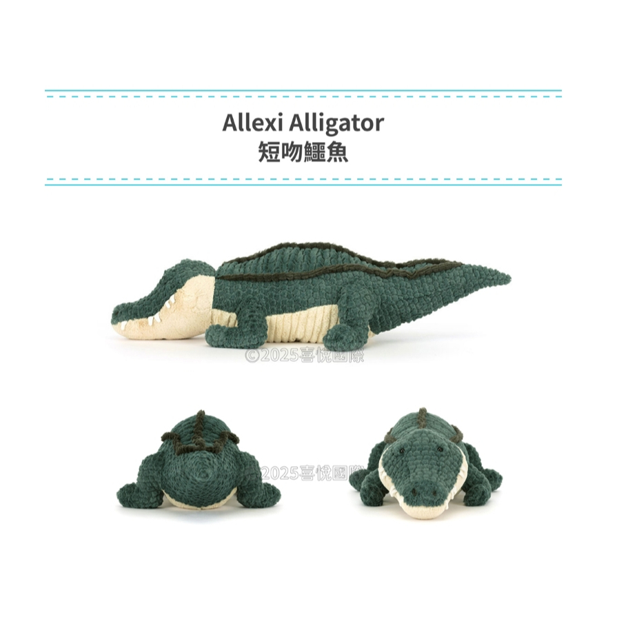 【樂森藥局】英國 Jellycat 短吻鱷魚 14*15*63 Allexi Alligator