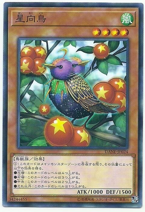 DANE-JP024  星向鳥 (星向鳥)