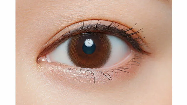 1 Day Cara Eyes Fiory Lily Camel｜日拋彩妝隱形眼鏡｜每盒10片