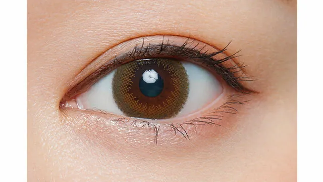 1 Day Cara Eyes Fiory Mocha Bloom｜日拋彩妝隱形眼鏡｜每盒10片