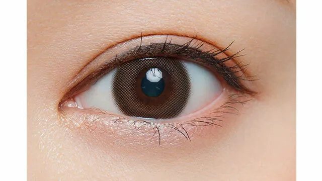 1 Day Cara Eyes Fiory Chocolat Fig｜日拋彩妝隱形眼鏡｜每盒10片