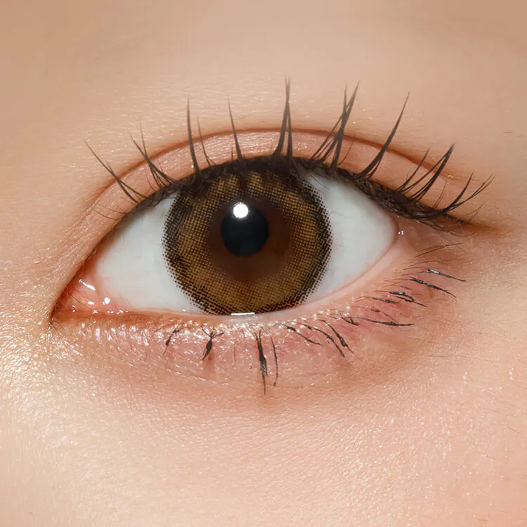 Chalor 1 Day Rua Hazel｜日拋彩妝隱形眼鏡｜每盒10片