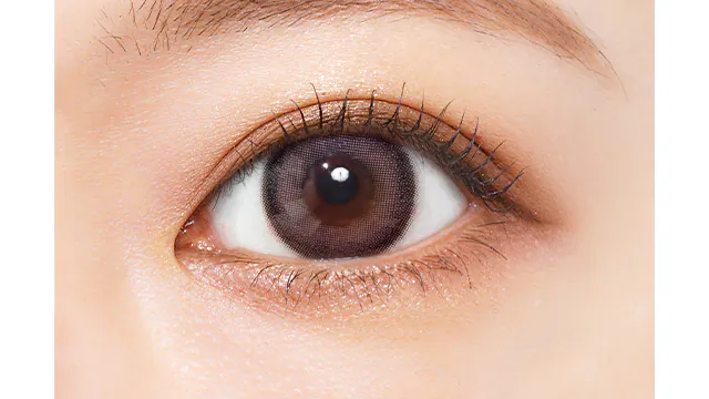 Charton 1 Day Fig Compote｜日拋彩妝隱形眼鏡｜每盒10片