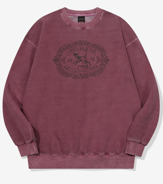 CPGN STUDIO / Hound Charm Pigment Sweatshirt / Dusty Pink /  JUL25