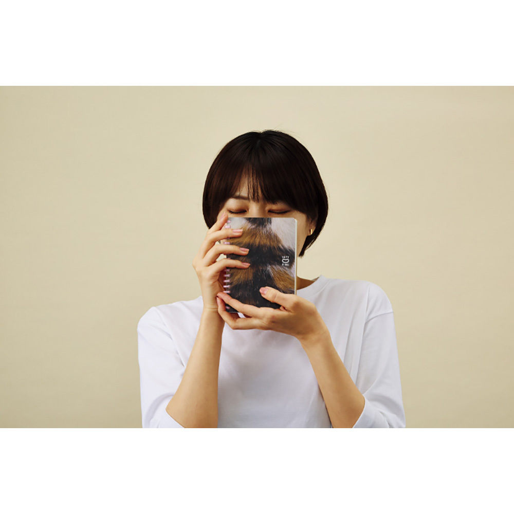 軟線圈 10週年限定 筆記本 方眼 A6 虎斑貓｜KOKUYO 日本