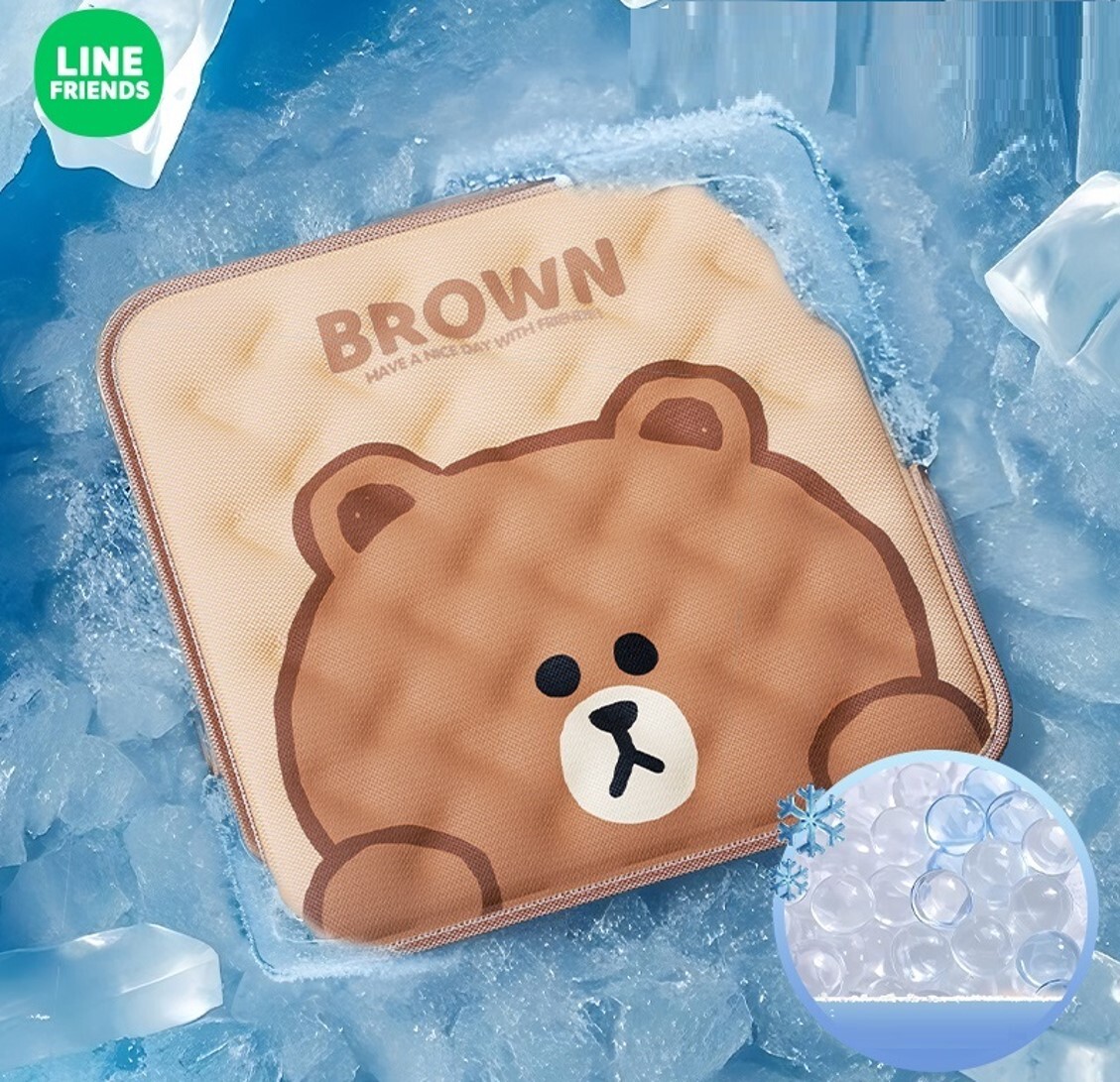 LINE FRIENDS | 冰涼坐墊|Brown