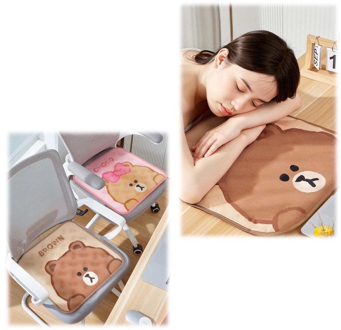 LINE FRIENDS | 冰涼坐墊|Brown