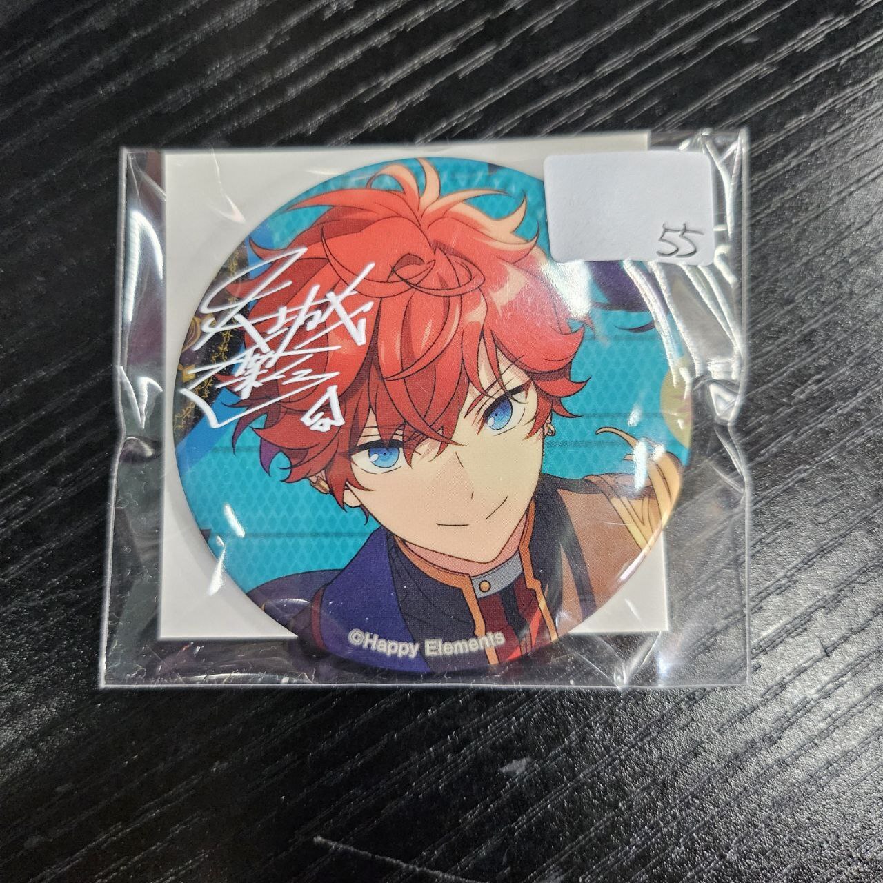 ES 一彩 襟章                                             Y27