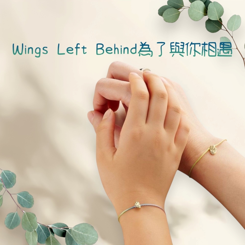 Wings Left Behind為了與你相遇