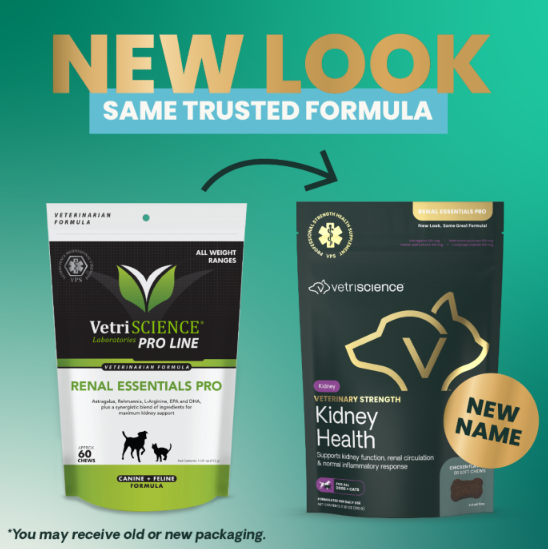 VetriScience Renal Essential Pro Veterinary Strength Kidney Health for Dogs & Cats 60 soft chews