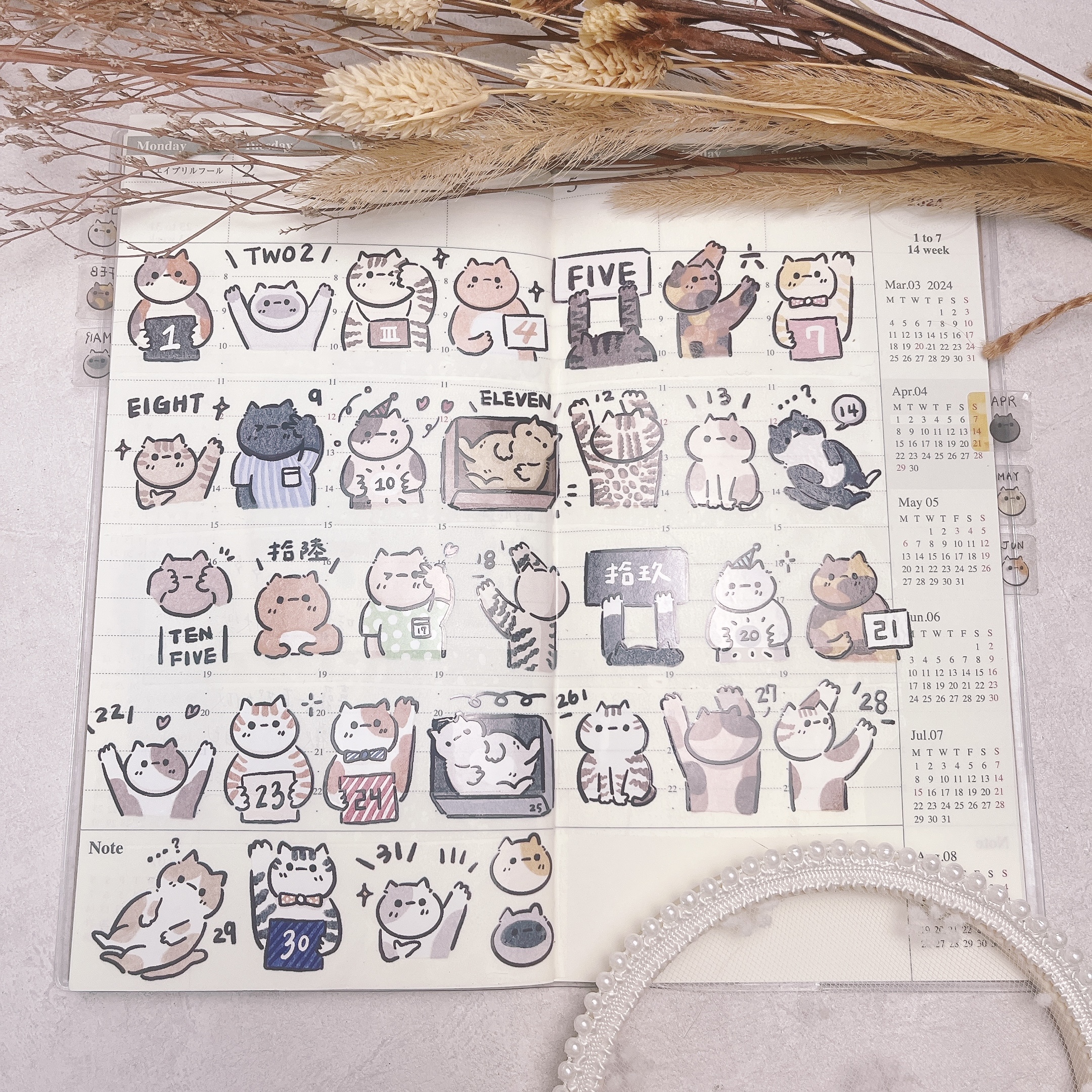 嗨賴 x LUMOS｜喵的・數饅頭 2.0 日付數字 PET膠帶