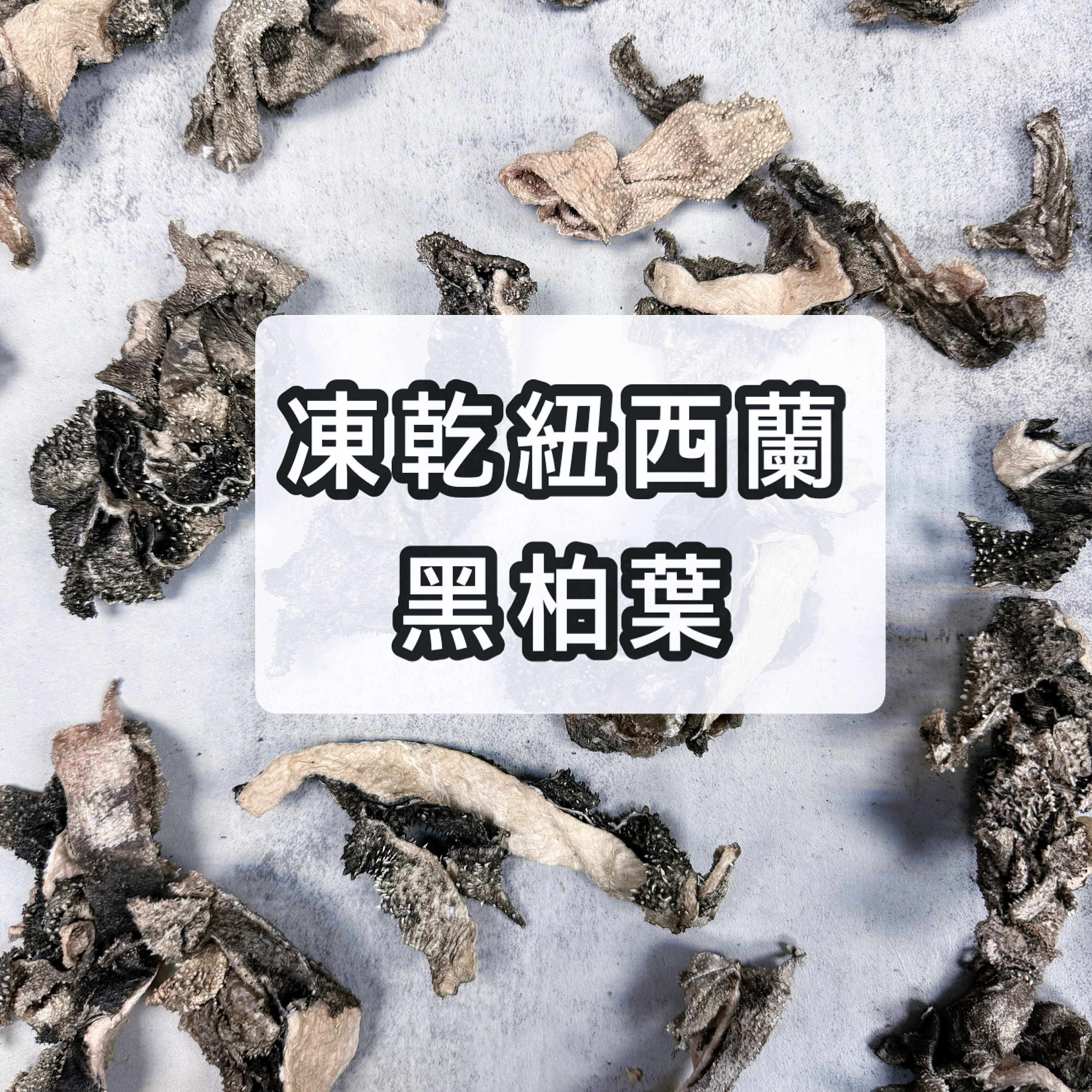 凍乾紐西蘭黑柏葉 ｜質感好似紫菜咁脆