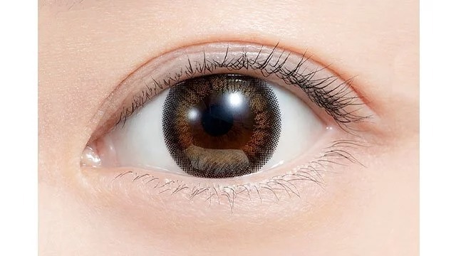 PIA feliamo 1 Day Tulle Brown｜日拋彩妝隱形眼鏡｜每盒10片