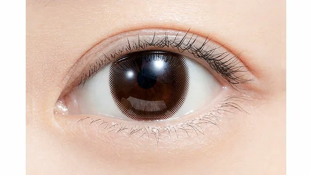 PIA feliamo 1 Day Sheer Brown｜日拋彩妝隱形眼鏡｜每盒10片