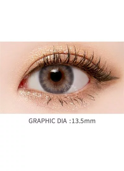 Lensme Makeover 1 Day Trendy Besnity Gray｜日拋彩妝隱形眼鏡｜每盒4片