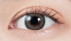 PIA MOLAK 1 Day Mirror Gray｜日拋彩妝隱形眼鏡｜每盒10片