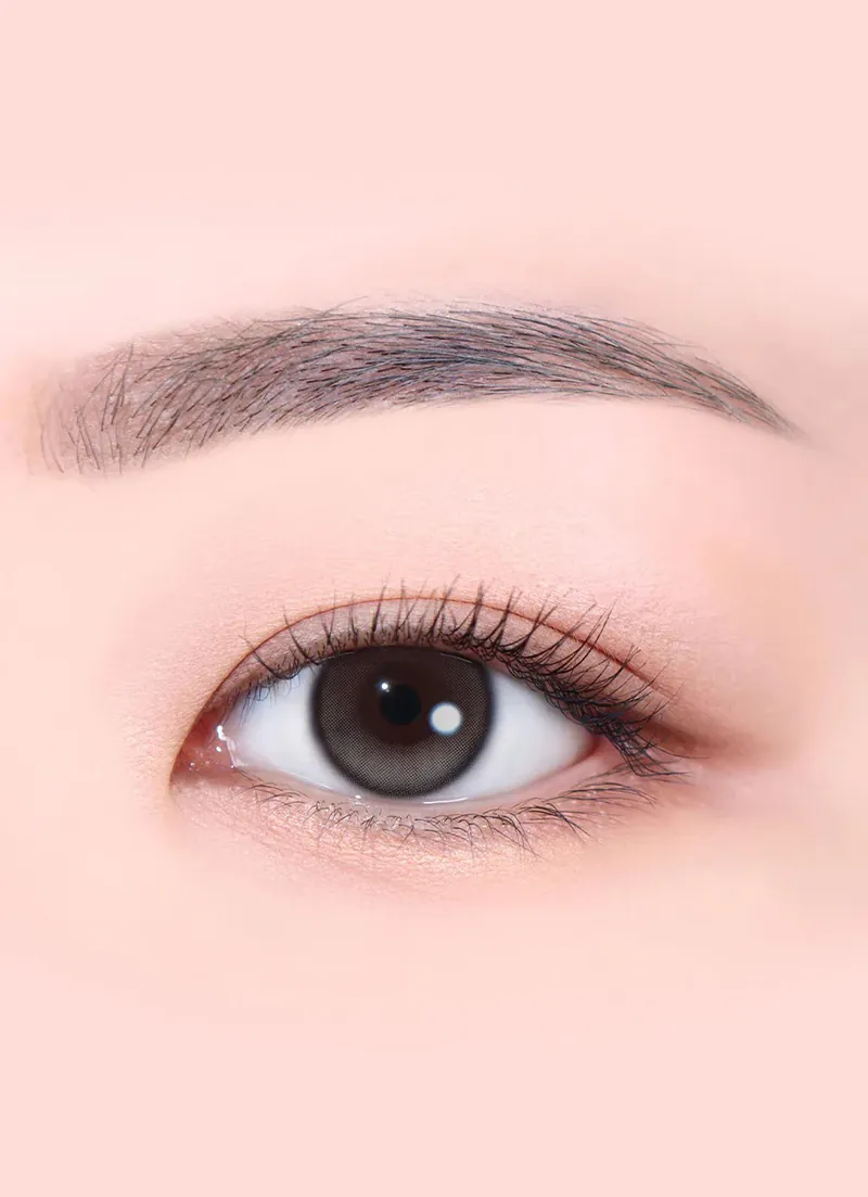 Lensme Isul Earl Gray｜月拋彩妝隱形眼鏡｜每盒2片