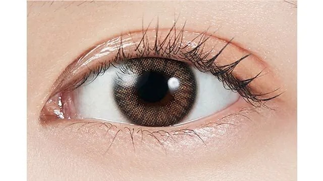 PIA MOLAK 1 Month Coral Brown｜月拋彩妝隱形眼鏡｜每盒2片