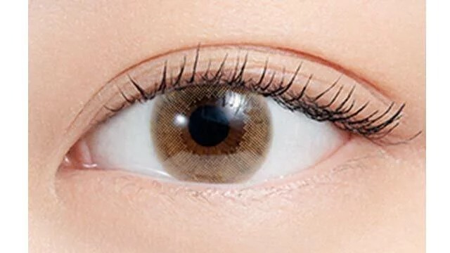 Pia N's Collection 1-DAY Yakisoba Pan 炒麵麵包｜日拋彩妝隱形眼鏡｜每盒10片