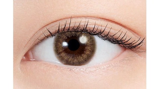 Pia N's Collection 1-DAY Hojicha Latte 焙茶拿鐵｜日拋彩妝隱形眼鏡｜每盒10片