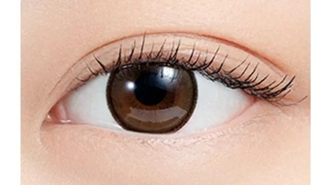 Pia N's Collection 1-DAY Hot Chocolate 熱巧克力｜日拋彩妝隱形眼鏡｜每盒10片