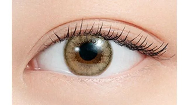 Pia N's Collection 1-DAY Lemonade 檸檬水｜日拋彩妝隱形眼鏡｜每盒10片