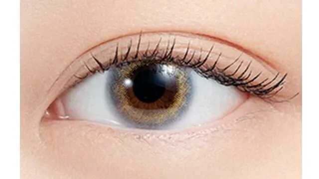 (清貨)Pia N's Collection 1-DAY Lassie 奶昔｜日拋彩妝隱形眼鏡｜每盒10片