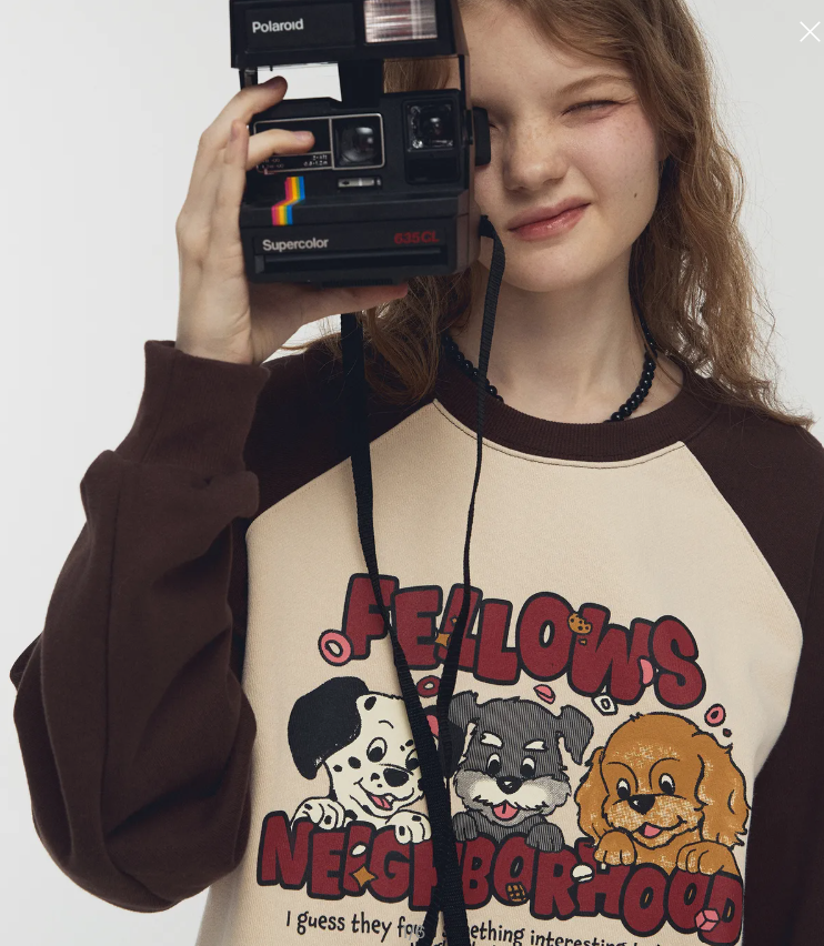 CPGN STUDIO / Fellow Reglan Sweatshirt / Brown /   JUL25