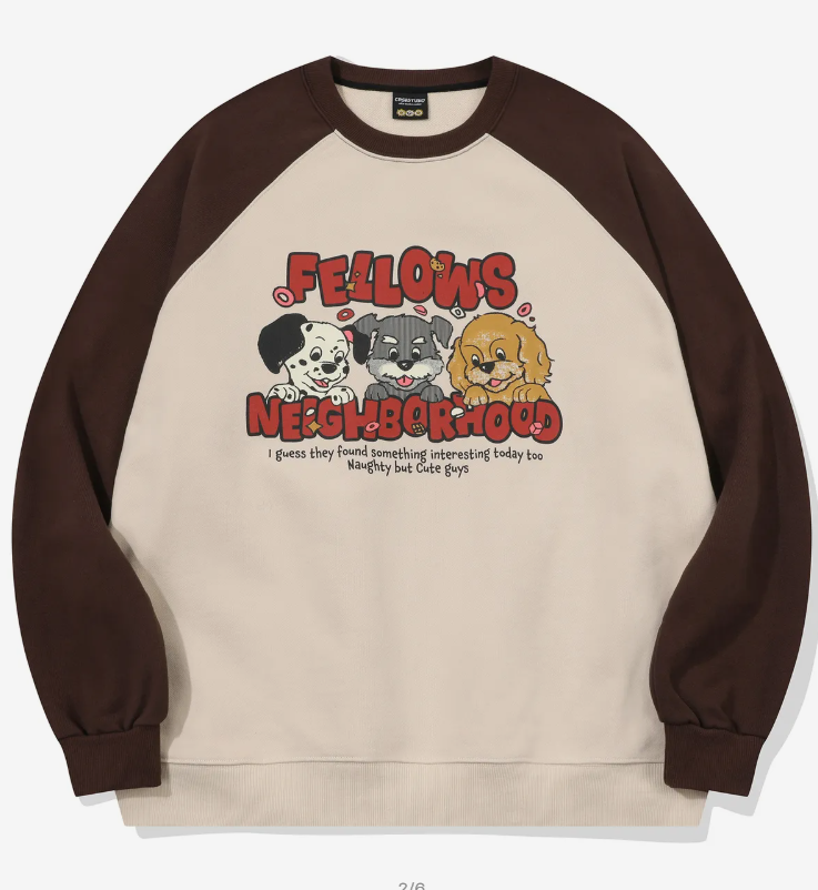 CPGN STUDIO / Fellow Reglan Sweatshirt / Brown /   JUL25