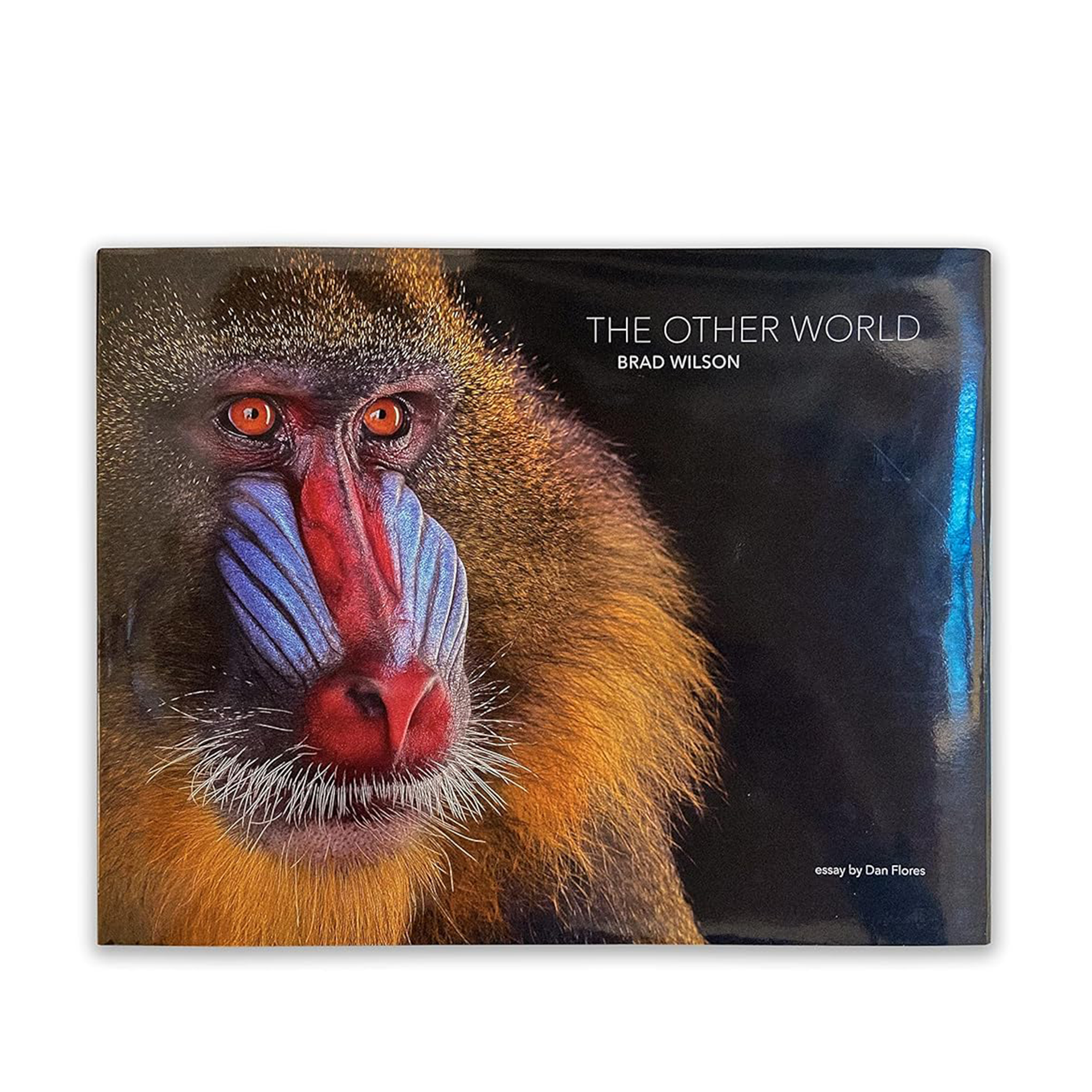 The Other World: Animal Portraits