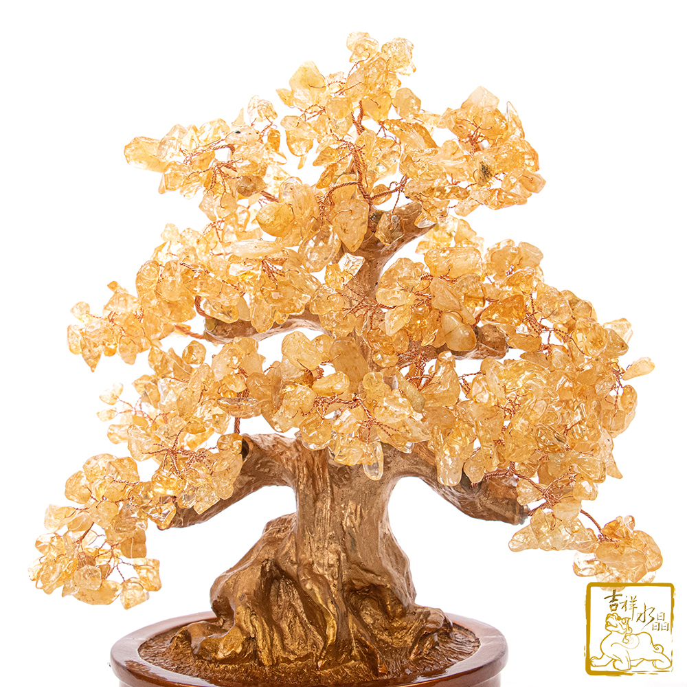 黃水晶財寶樹 625g 發財樹
