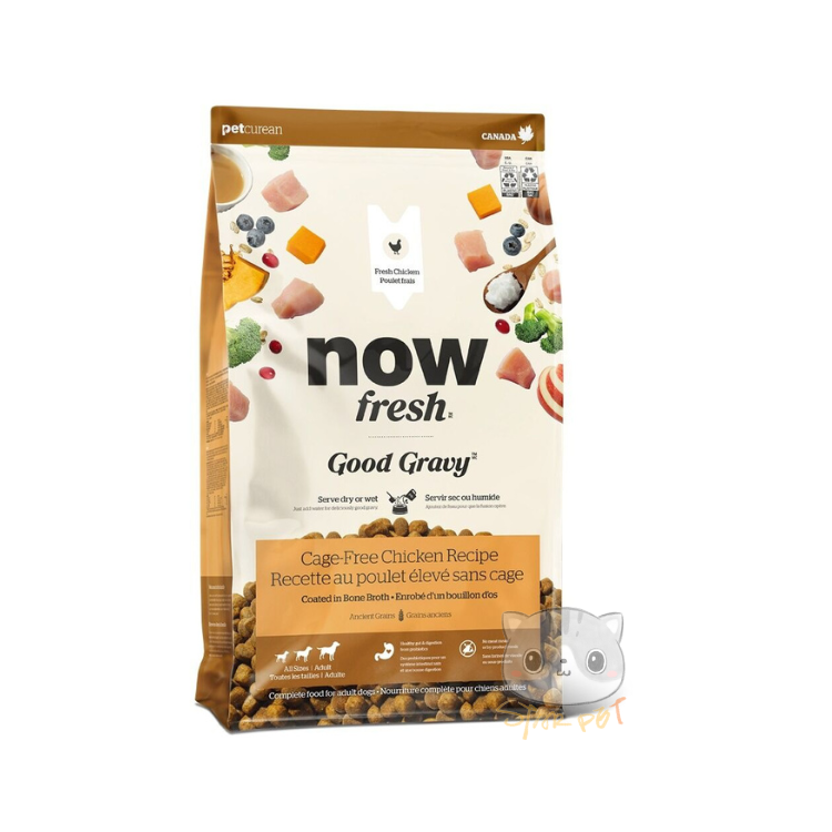 NOW FRESH 雞肉配方 香濃火雞骨湯外層乾糧 22lb