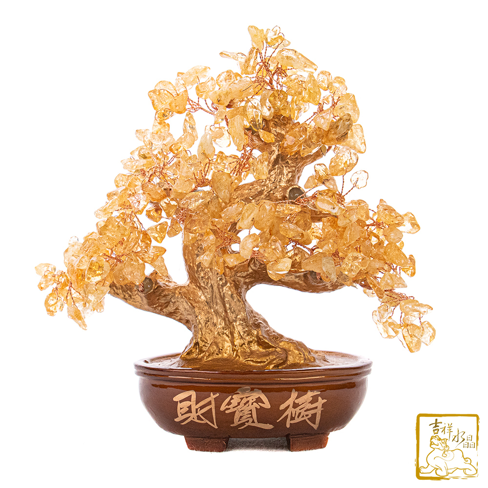 黃水晶財寶樹 625g 發財樹