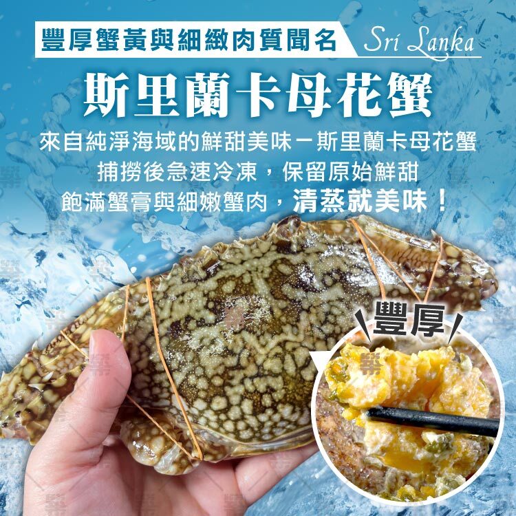以豐厚蟹黃與細緻肉質聞名的海味女王