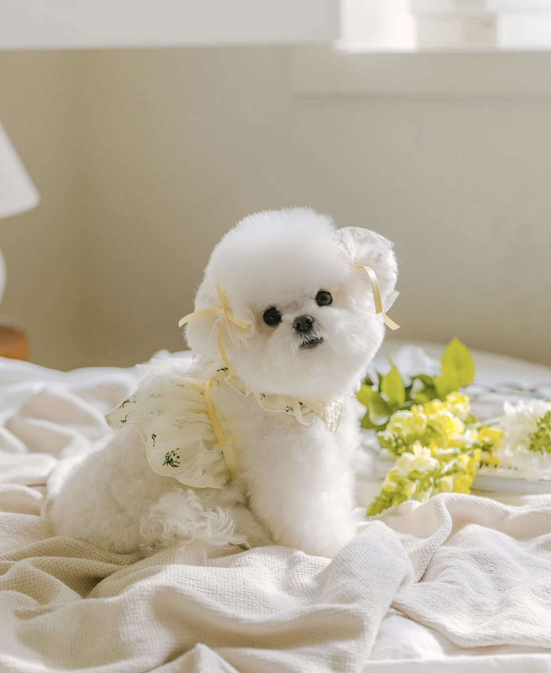 精靈洋裝（粉色/黃色）