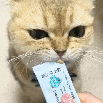 StomoAct®韓國潔齒保健營養肉泥 10g x 30條 *貓咪專用*