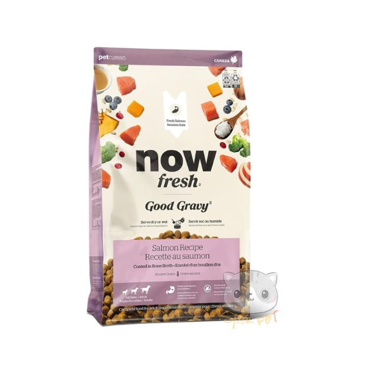 NOW FRESH 三文魚配方 香濃火雞骨湯外層乾糧 22lb