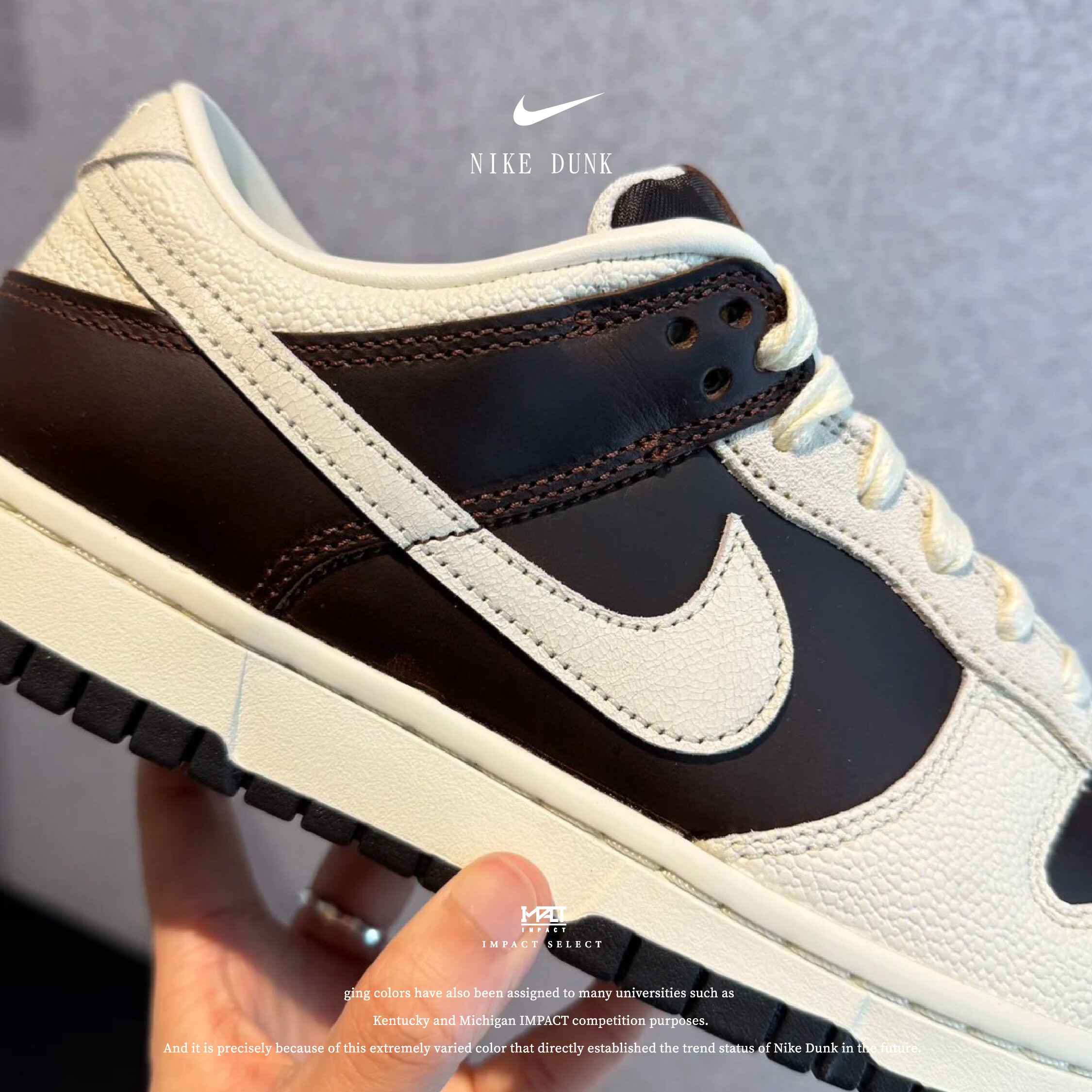 Nike Dunk Low "Fauna Brown" 巧克力奶昔 米棕 摩卡 棕色 牛奶 咖啡 IH7333-200