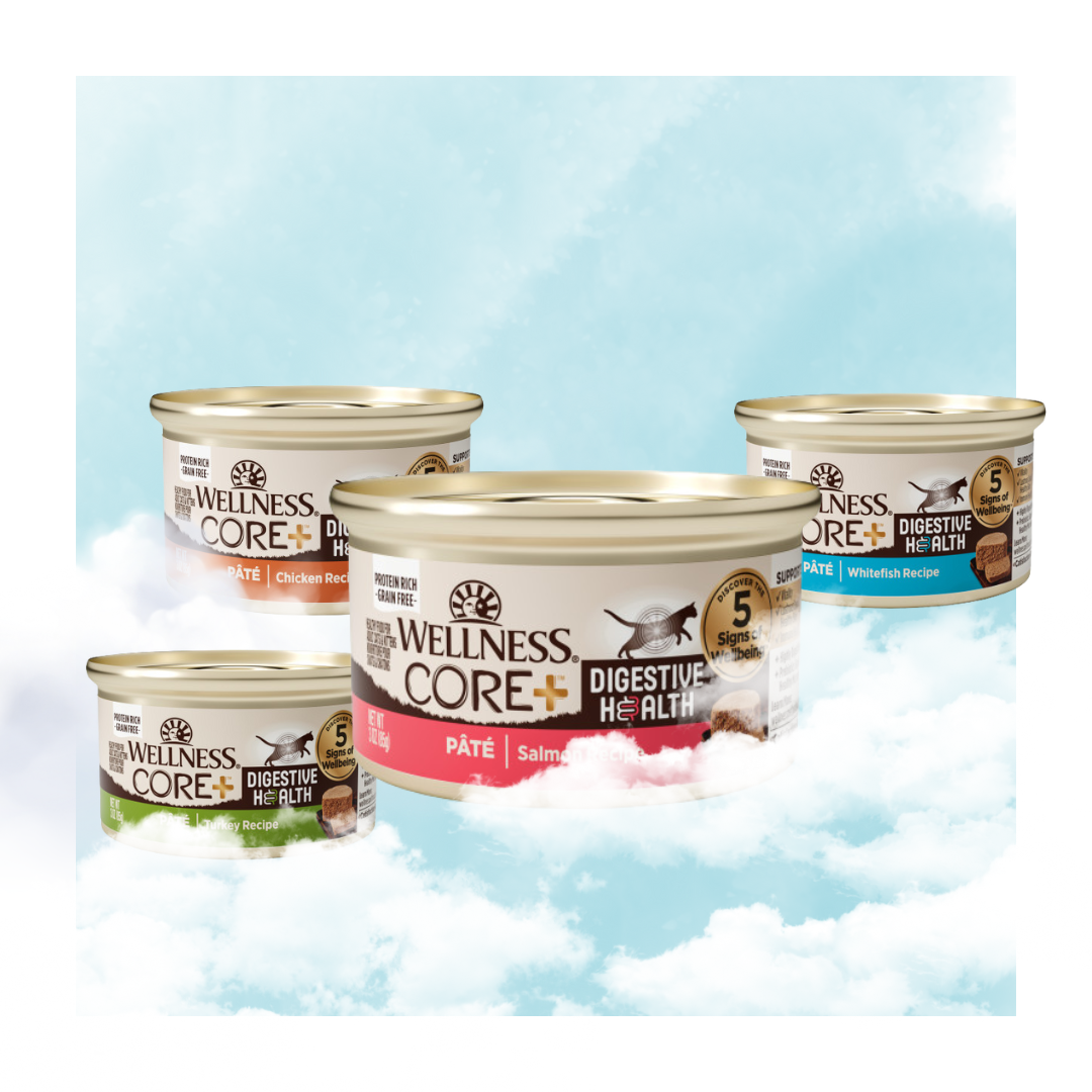 Wellness CORE+ 消化易肉醬無穀物貓罐系列