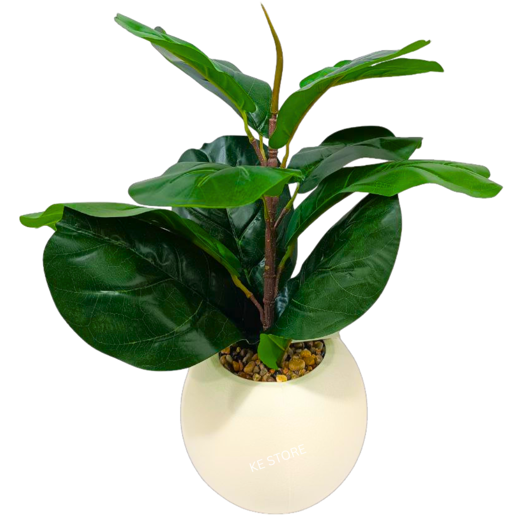 Artificial Fiddle Leaf Plant in White Round Pot – Lifelike Tabletop Greenery