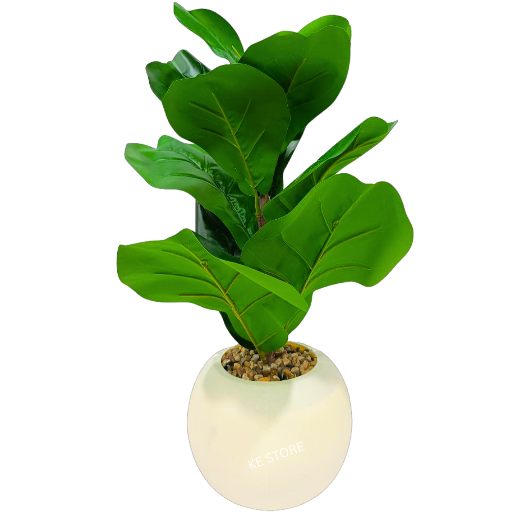 Artificial Fiddle Leaf Plant in White Round Pot – Lifelike Tabletop Greenery