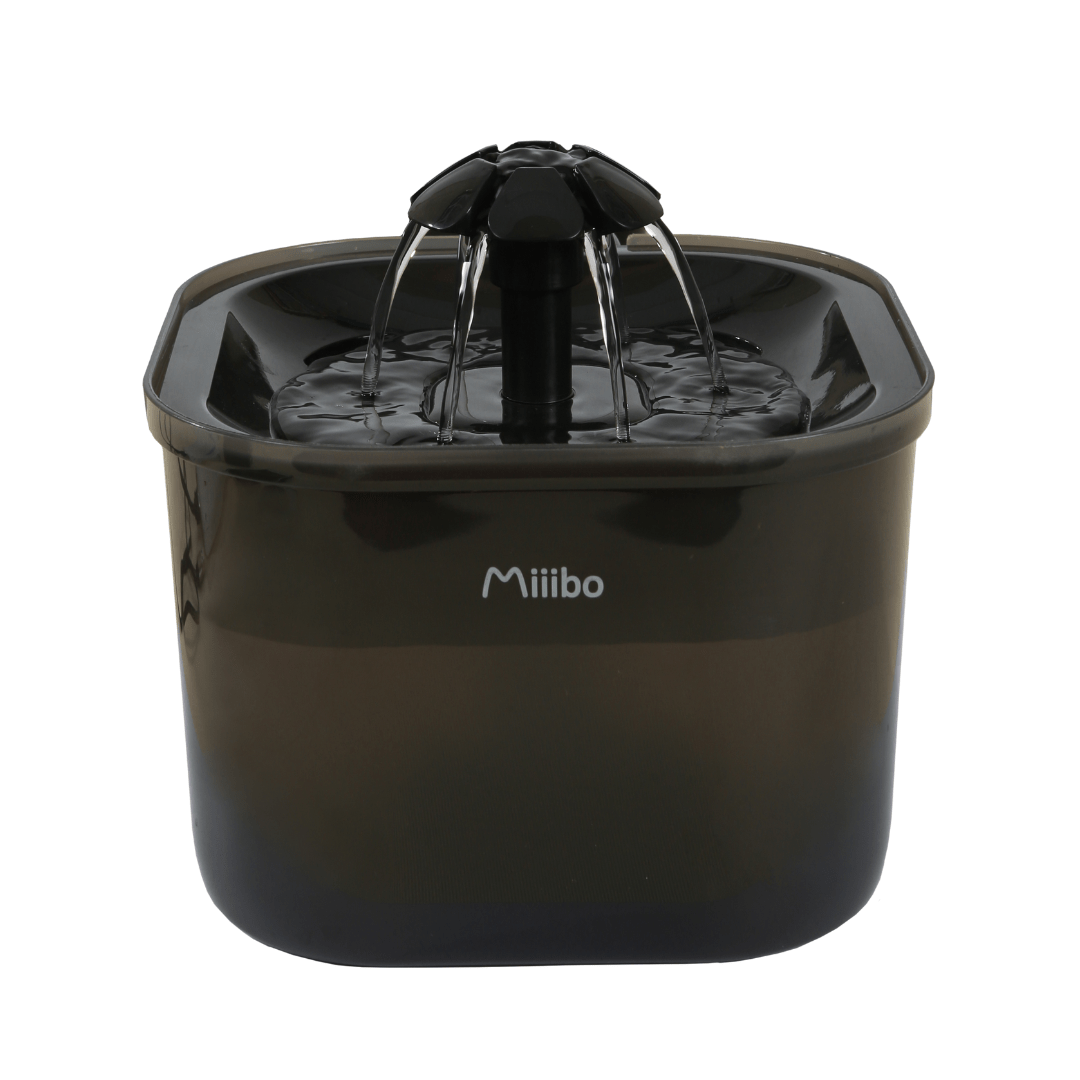 彩虹寵物飲水機-黑 (1.3L)