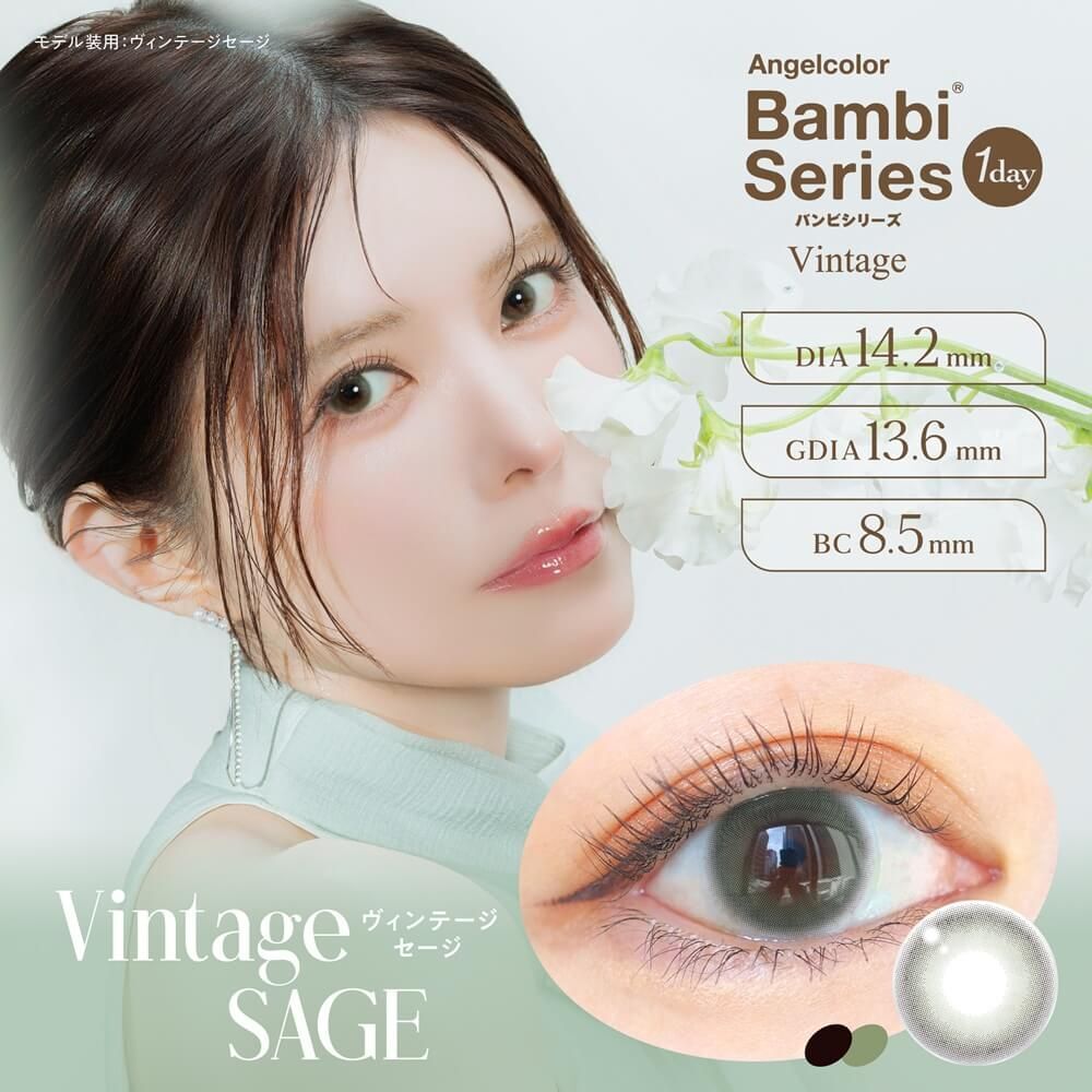 [日拋] AngelColor Bambi Series 1 Day Vintage Sage 彩妝隱形眼鏡｜每盒10片